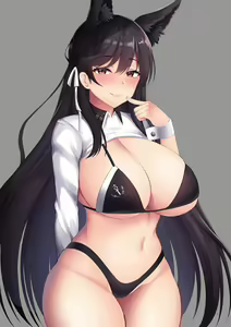 Page 113 of Atago - preview thumbnail