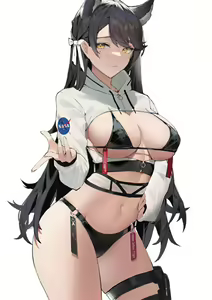 Page 213 of Atago - preview thumbnail
