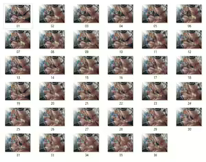 Page 482 of Artist ::: AlexanderDinh  (Pixiv (2)* - preview thumbnail