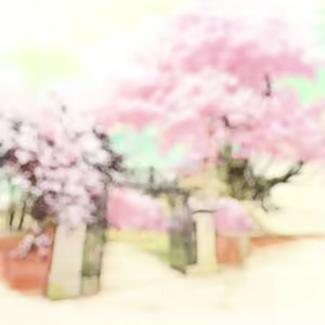 Page 75 of Sakura Moyu-as the Night's, Reincarnation- BG - preview thumbnail