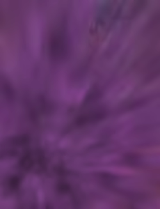 Page 445 of Aven Compilation - preview thumbnail