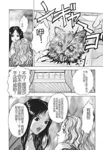 Page 107 of Burgess no Otome-tachi -Dinomiscus no Shou- - preview thumbnail