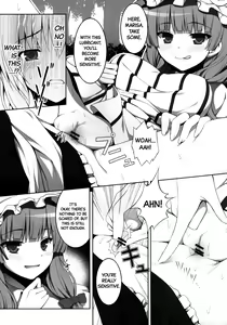 Page 13 of Ihen ga Michi o Yattekuru・Ketsu (Touhou Project) | An Incident Is Coming This Way・Part 2 - preview thumbnail