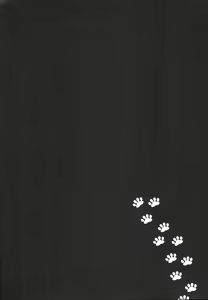 Page 4 of Neko Shibai - preview thumbnail