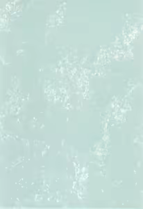 Page 3 of Delphinium no Kakan - Delphinium corolla - preview thumbnail