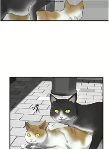 Page 80 of 夏日深處 51-75话 - preview thumbnail