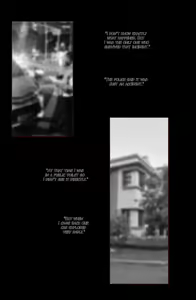 Page 3 of Don't Steal My Grandma - preview thumbnail