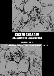 Page 3 of EXCEED CHARGE - preview thumbnail