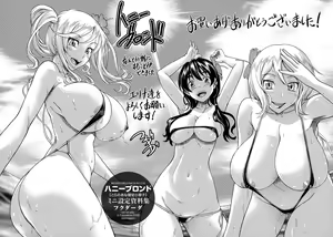 Honey Blonde Toranoana Gentei Shousasshi Mini Settei Shiryoushuu - hentai manga cover image