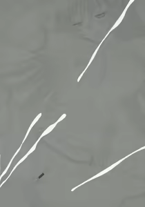 Page 19 of Maruyaki Barbecue - preview thumbnail