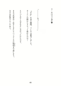 Page 40 of Futanari Elf Senshi to Bakunyuu Sister Himitsu no Zange-shitsu~ - preview thumbnail