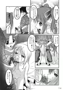 Page 116 of Kichiku Kyoudai Ryoujokuki - preview thumbnail