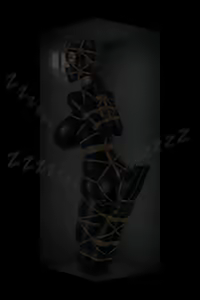 Page 214 of Company's Secret Prisoner - preview thumbnail