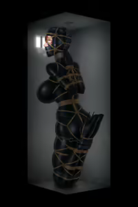 Page 217 of Company's Secret Prisoner - preview thumbnail