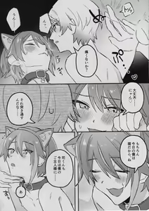 Page 7 of TsukaRui ga Nyan Nyan suru Hon - preview thumbnail
