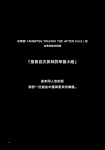 Page 4 of ANMITSU TOUHOU THE AFTER Vol.2 (decensored) - preview thumbnail