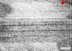 Page 7 of 【Kingbang】性爱马拉松番外篇：2020圣诞节【秩序之脏个人汉化】 - preview thumbnail