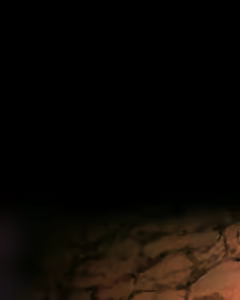 Page 261 of kemonogeki rasen - preview thumbnail