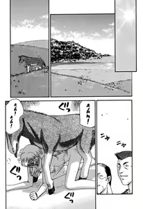 Page 45 of Nise DRAGON BLOOD! 11 - preview thumbnail