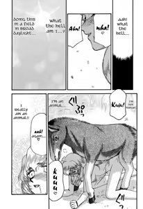 Page 46 of Nise DRAGON BLOOD! 11 - preview thumbnail