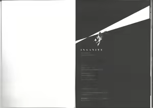 Page 27 of Insanity - preview thumbnail