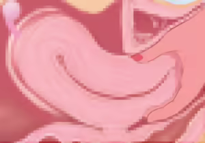 Page 235 of R E M - preview thumbnail