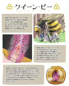 Page 4 of Shibosei Seibutsu Zukan - preview thumbnail