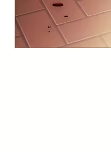 Page 1373 of 实习老师 1-50 - preview thumbnail