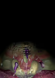 Page 65 of Fanbox May 2024 - preview thumbnail