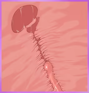 Page 1101 of Amelia and the Tentacle Erotic Trap Dungeon - preview thumbnail