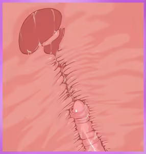 Page 1124 of Amelia and the Tentacle Erotic Trap Dungeon - preview thumbnail