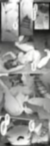 Page 389 of KeinV (17870444) 2024.06.04 - preview thumbnail