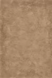 Page 298 of Gifu Pet - preview thumbnail