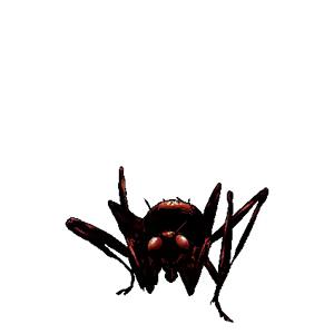 Page 1276 of Wizardry: The Five Ordeals - preview thumbnail