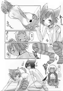 Page 8 of Ibarinbou Chihuahua - preview thumbnail