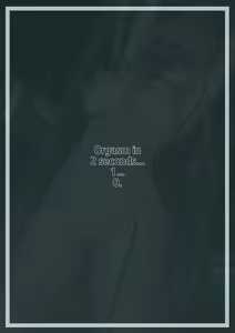 Page 88 of Mikamo Neru Modification Record - preview thumbnail