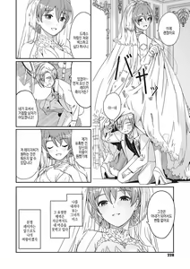 Page 229 of Reika wa Karei na Boku no Joou - Reika is a my splendid Queen | 레이카는 화려한 나의 여왕 - preview thumbnail