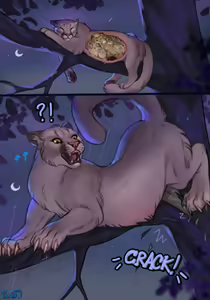 Page 62 of FAMIR - preview thumbnail
