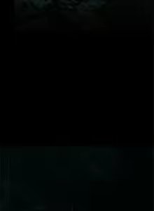 Page 1767 of 纵夏夜之梦 1-59 - preview thumbnail