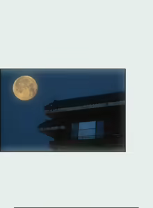 Page 469 of 纵夏夜之梦 1-59 - preview thumbnail