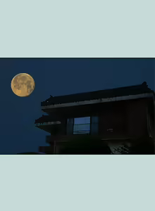 Page 1241 of 纵夏夜之梦 60-115 完结 - preview thumbnail