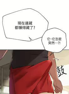 Page 786 of 姐姐们的调教 41-70 完结 - preview thumbnail