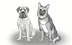 Page 62 of DOG LOVERS ~Senpai no Inu ni Ikasareta Watashi~ - preview thumbnail