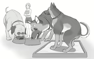 Page 63 of DOG LOVERS ~Senpai no Inu ni Ikasareta Watashi~ - preview thumbnail