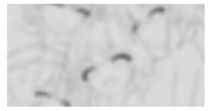 Page 2 of 望宙ゆず - preview thumbnail