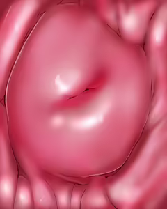 Page 31 of momisan - preview thumbnail