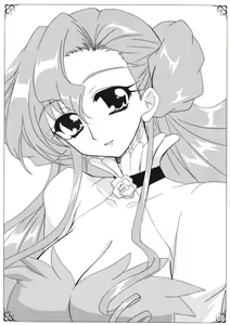Page 2 of PLUMATION SC36 - preview thumbnail