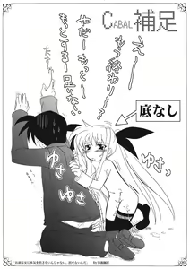 Page 6 of PLUMATION SC36 - preview thumbnail