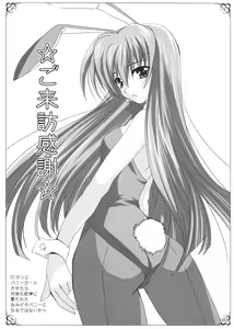 Page 3 of PLUMATION 2008 SPRING - preview thumbnail