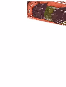 Page 1830 of - Transparent Background Gallery (uncensored) - preview thumbnail